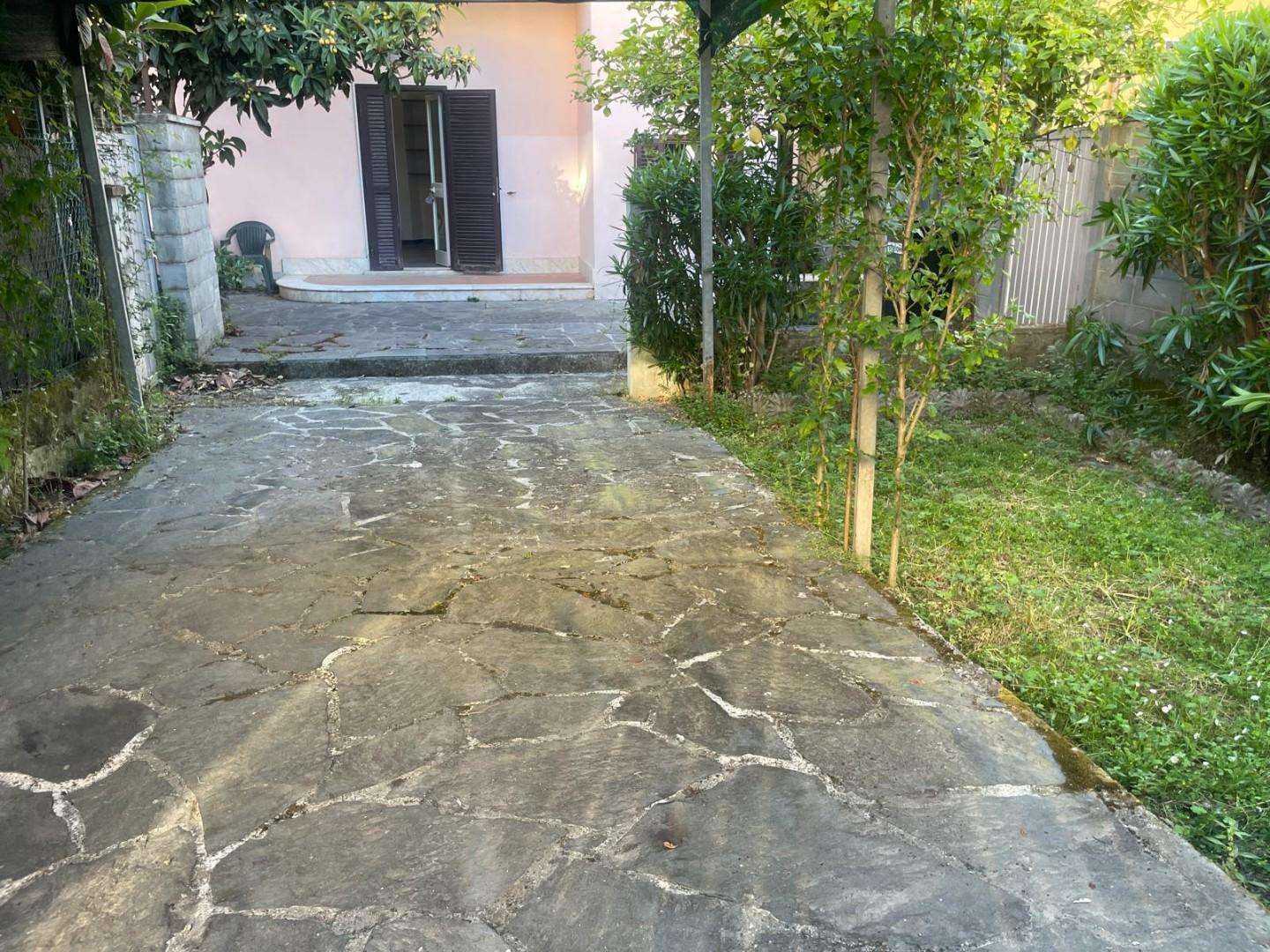  - foto 5