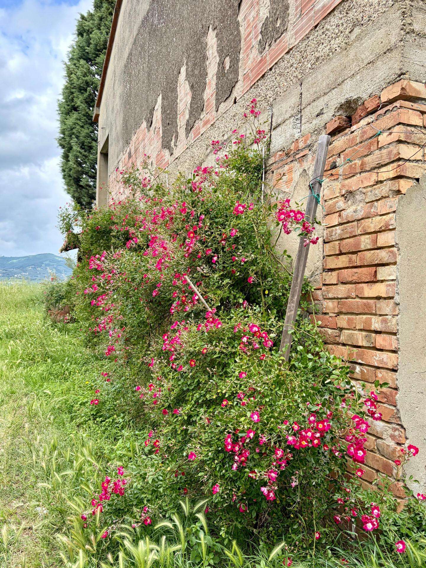  - foto 16