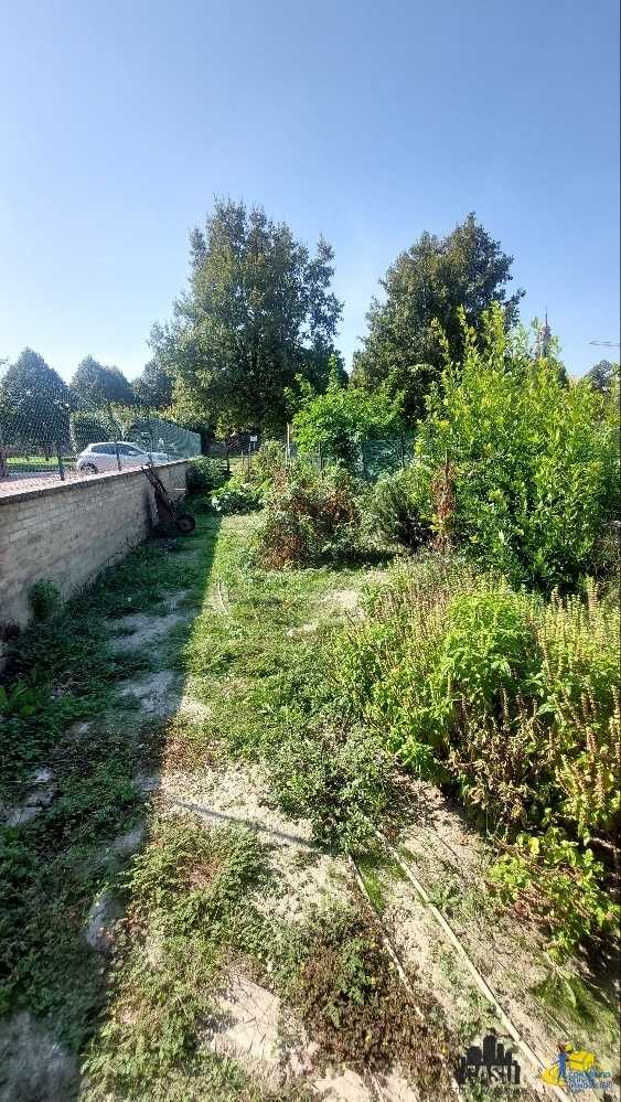  - foto 12