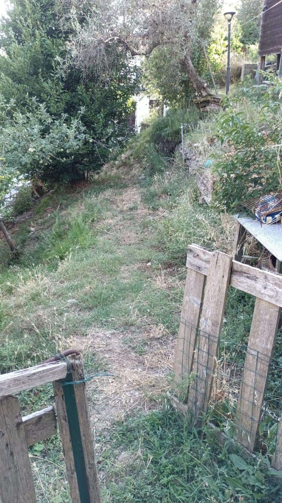  - foto 10