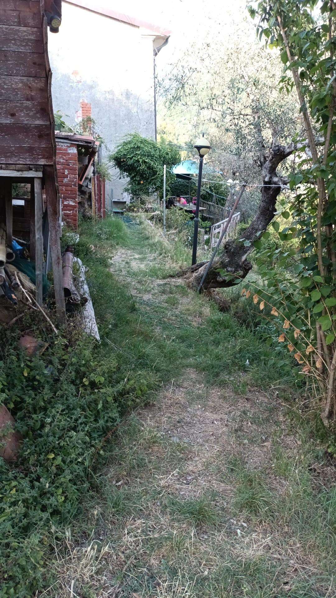  - foto 7