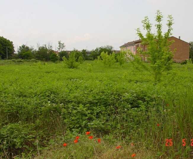  - foto 3