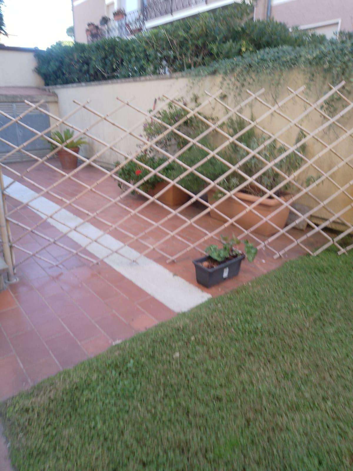  - foto 14