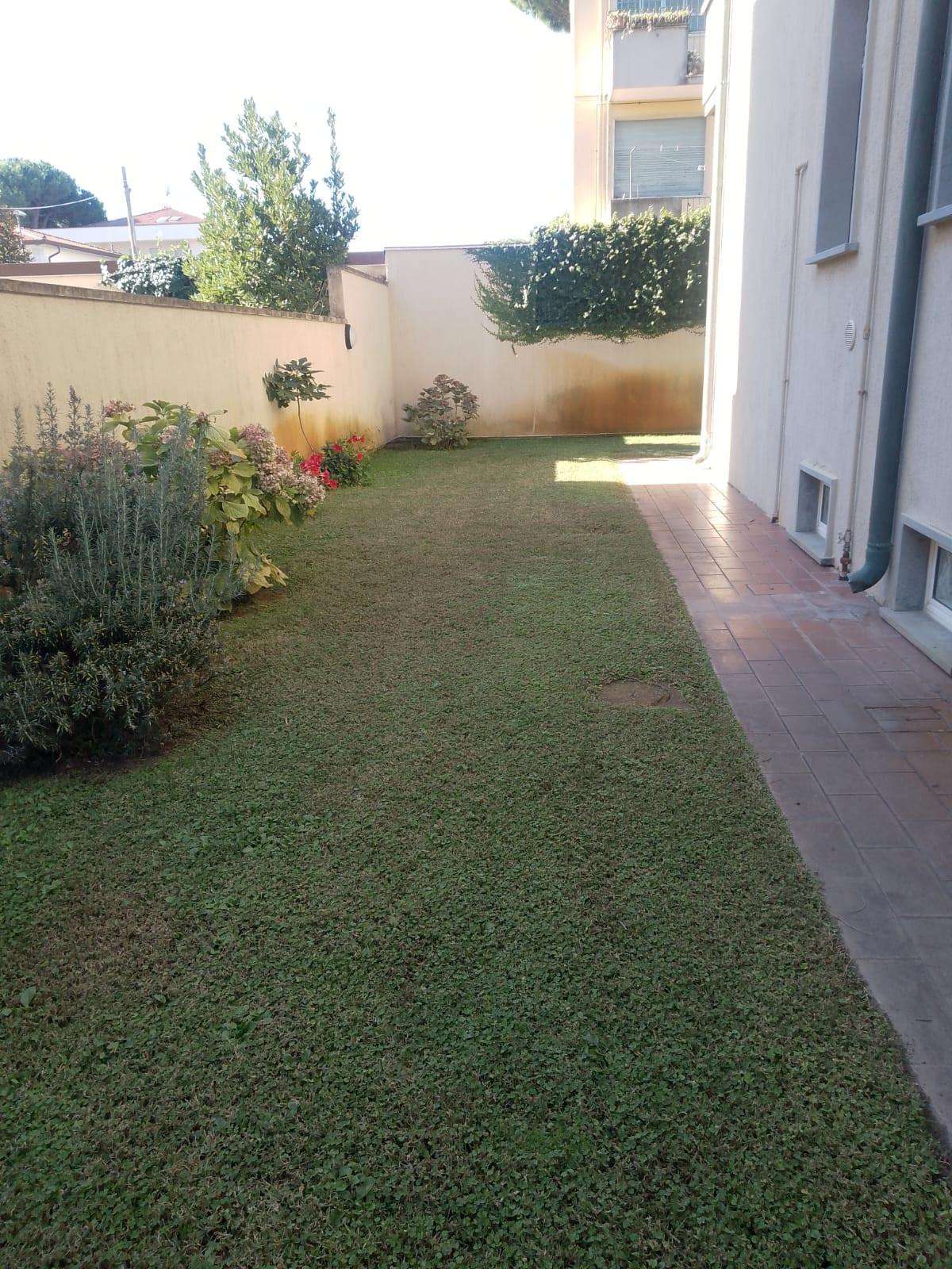  - foto 17