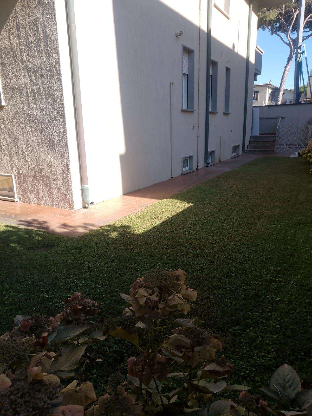  - foto 19