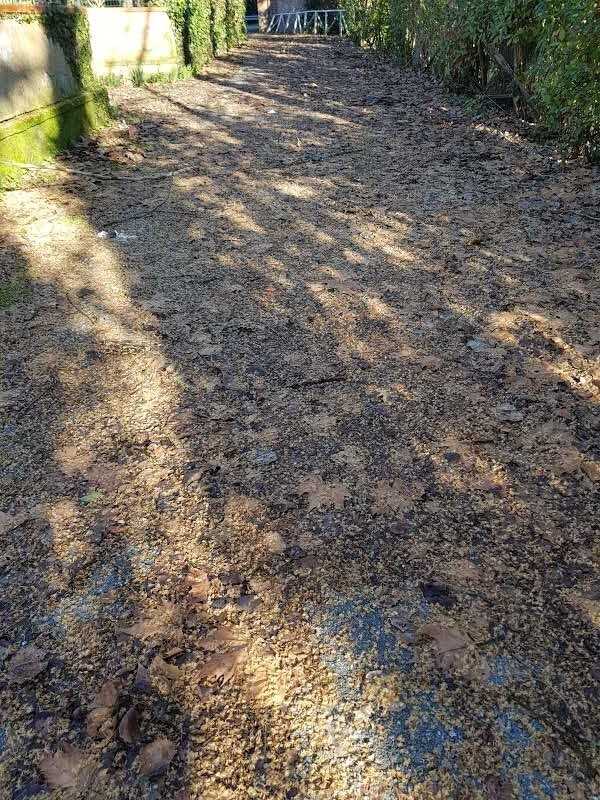  - foto 16