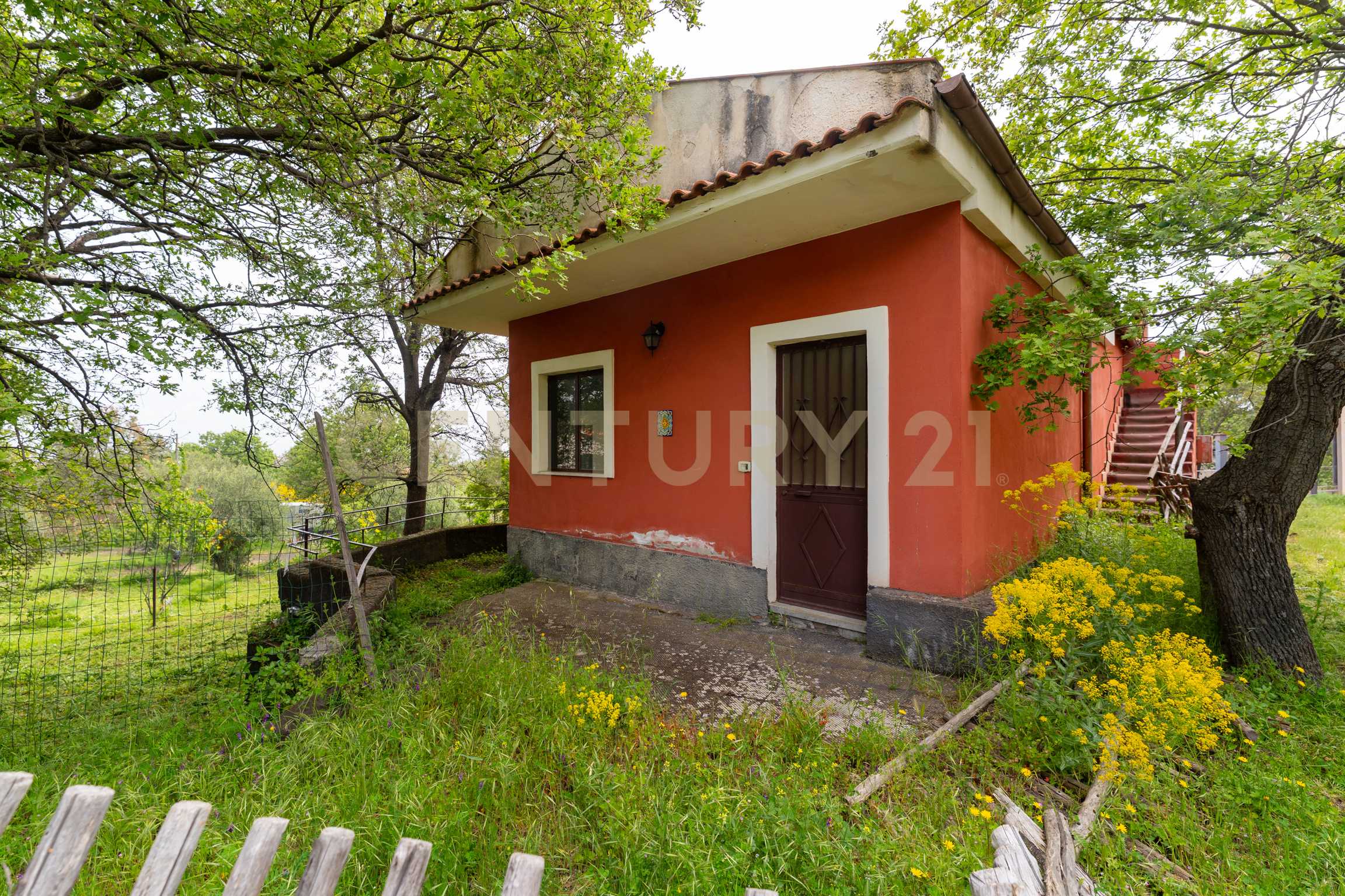  - foto 2