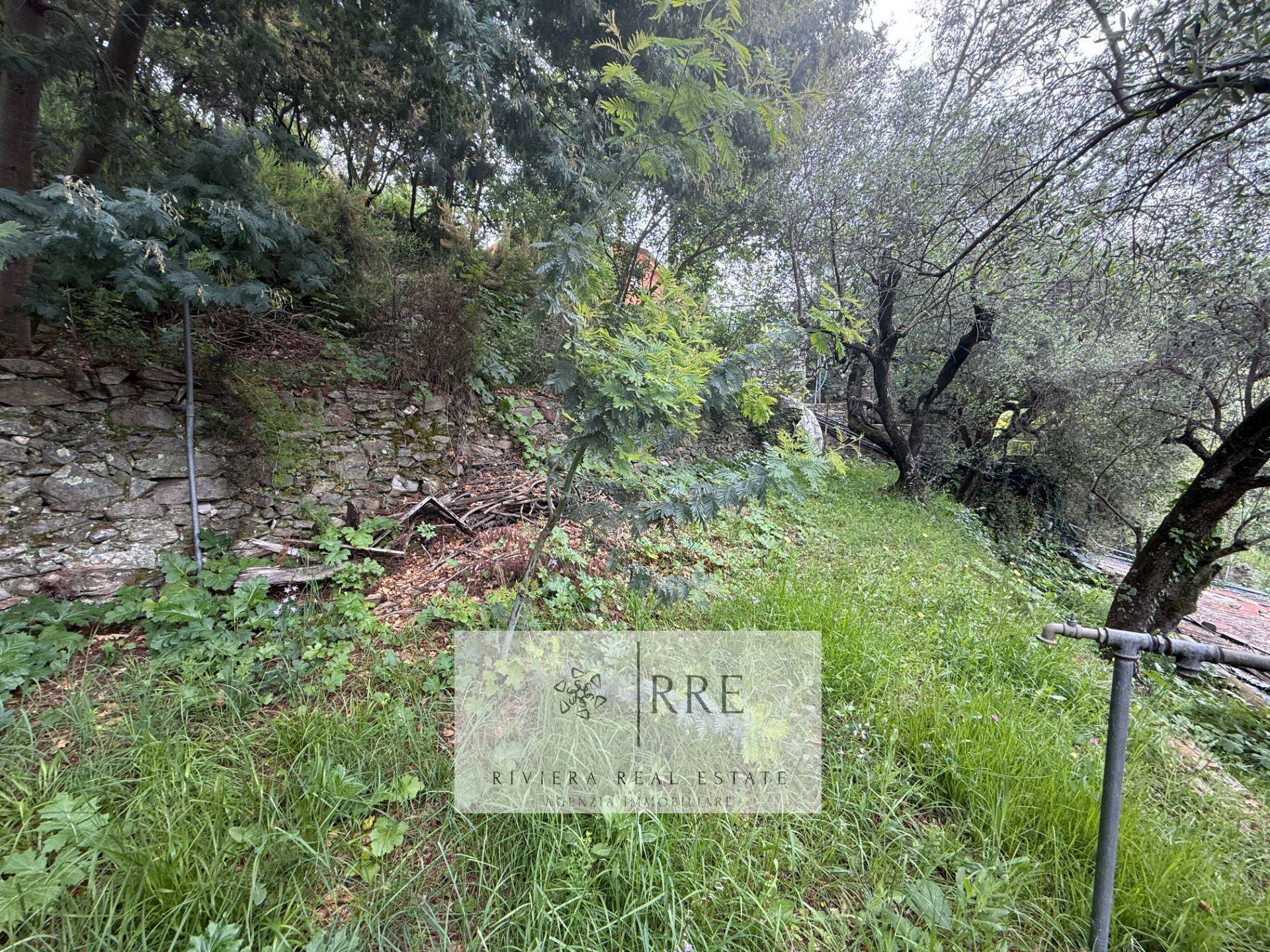  - foto 54