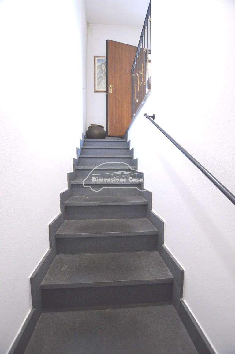  - foto 17