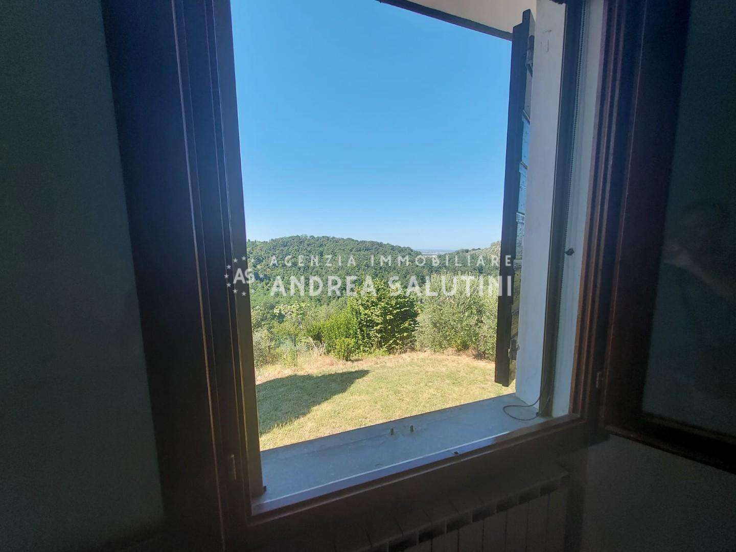  - foto 14