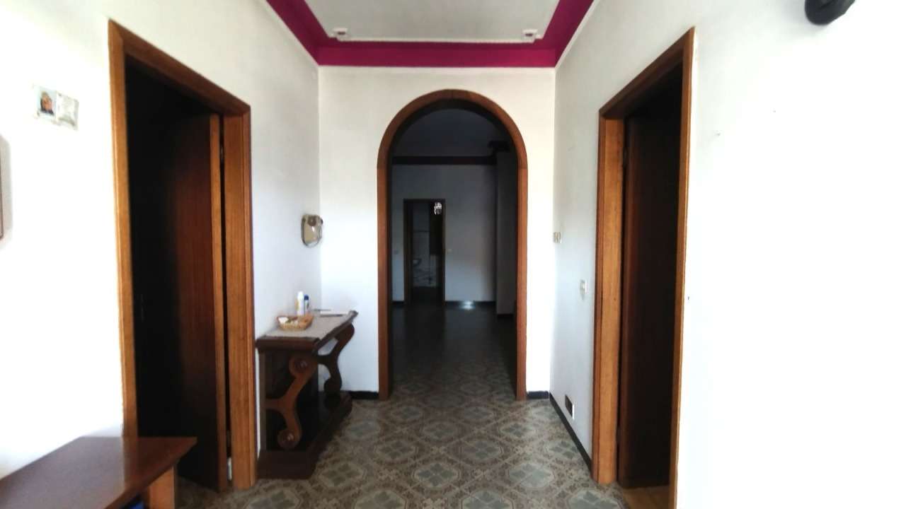  - foto 19