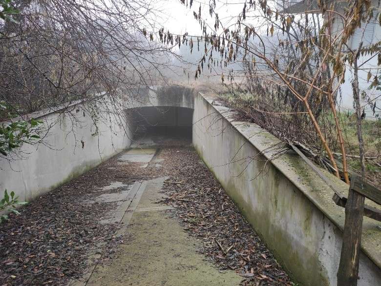  - foto 3