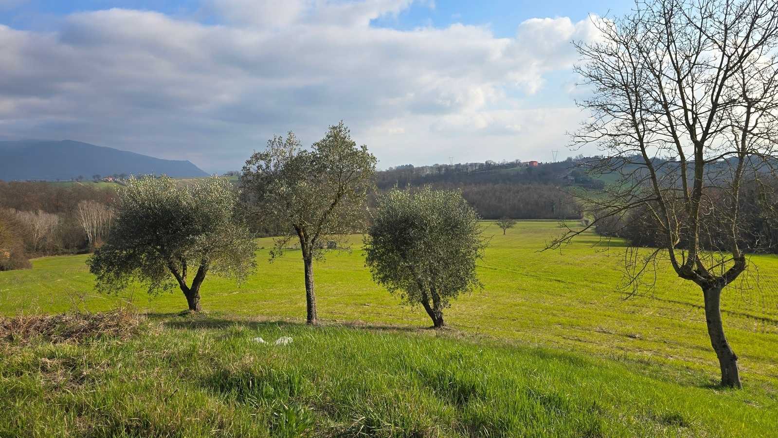  - foto 18