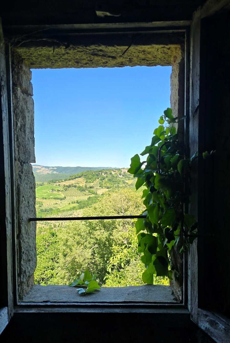  - foto 10