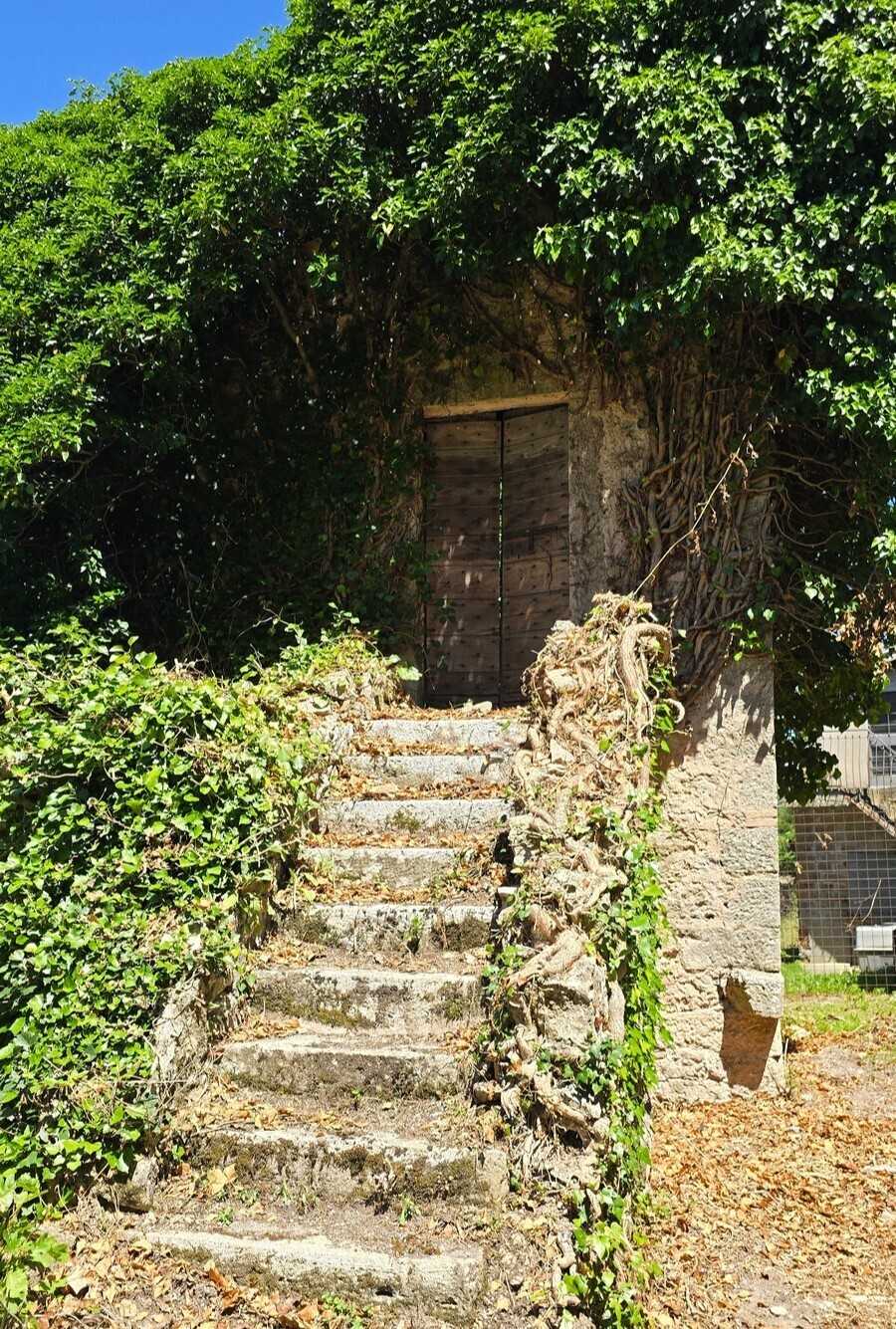  - foto 30