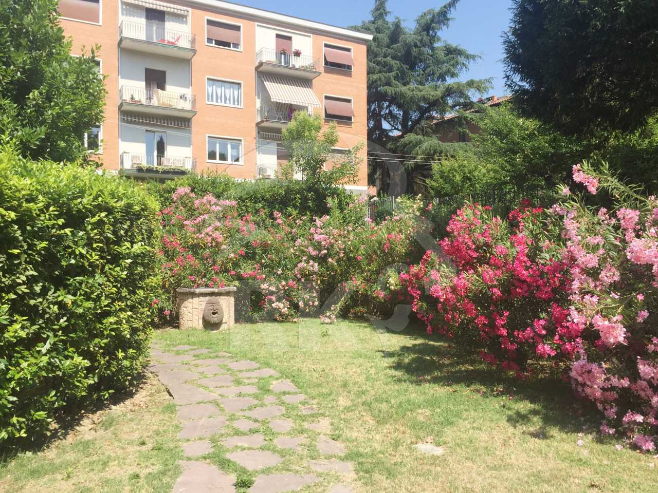  - foto 23