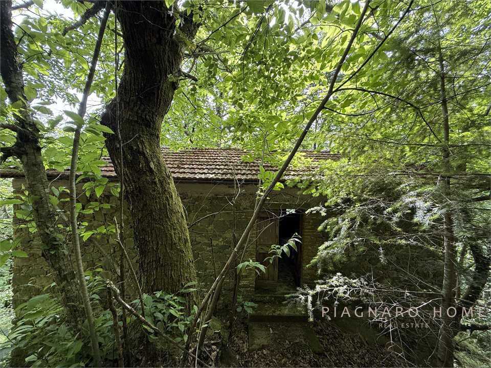  - foto 10