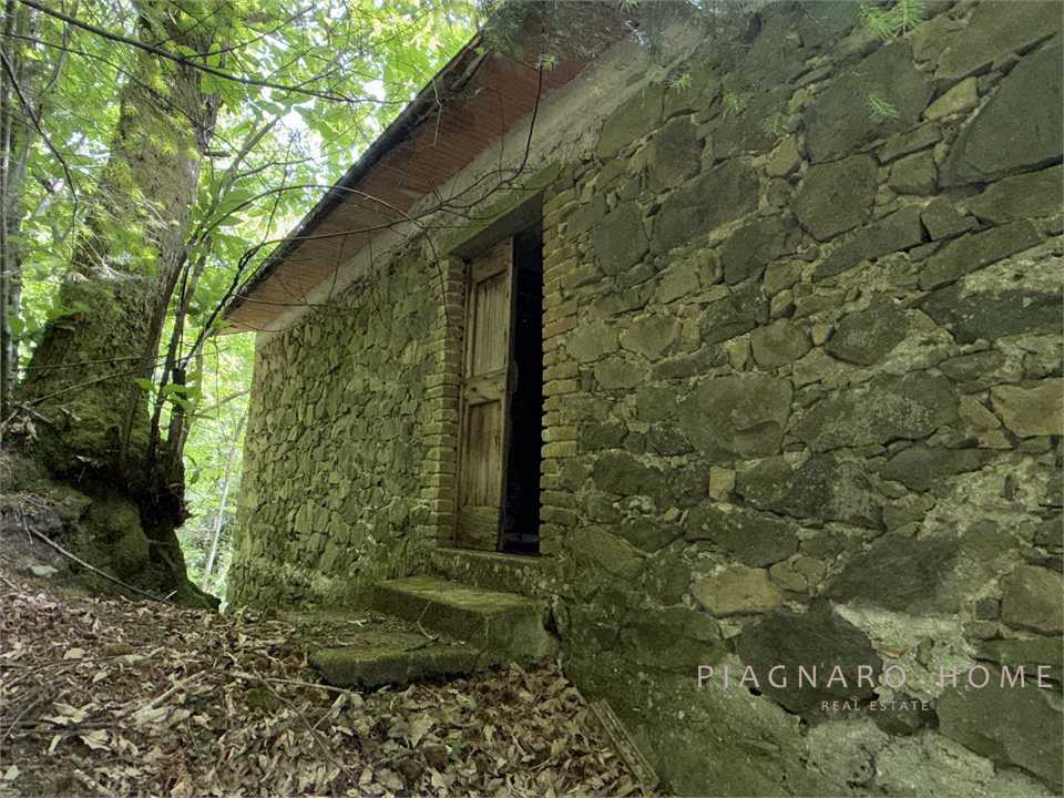  - foto 8