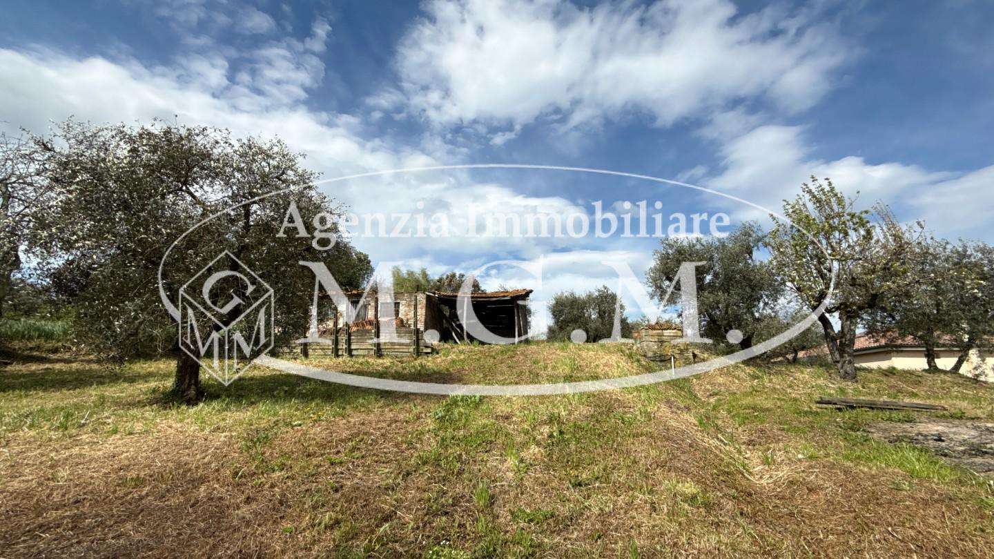  - foto 41