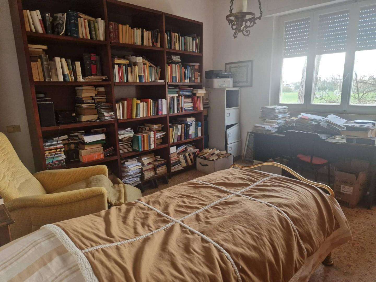  - foto 6