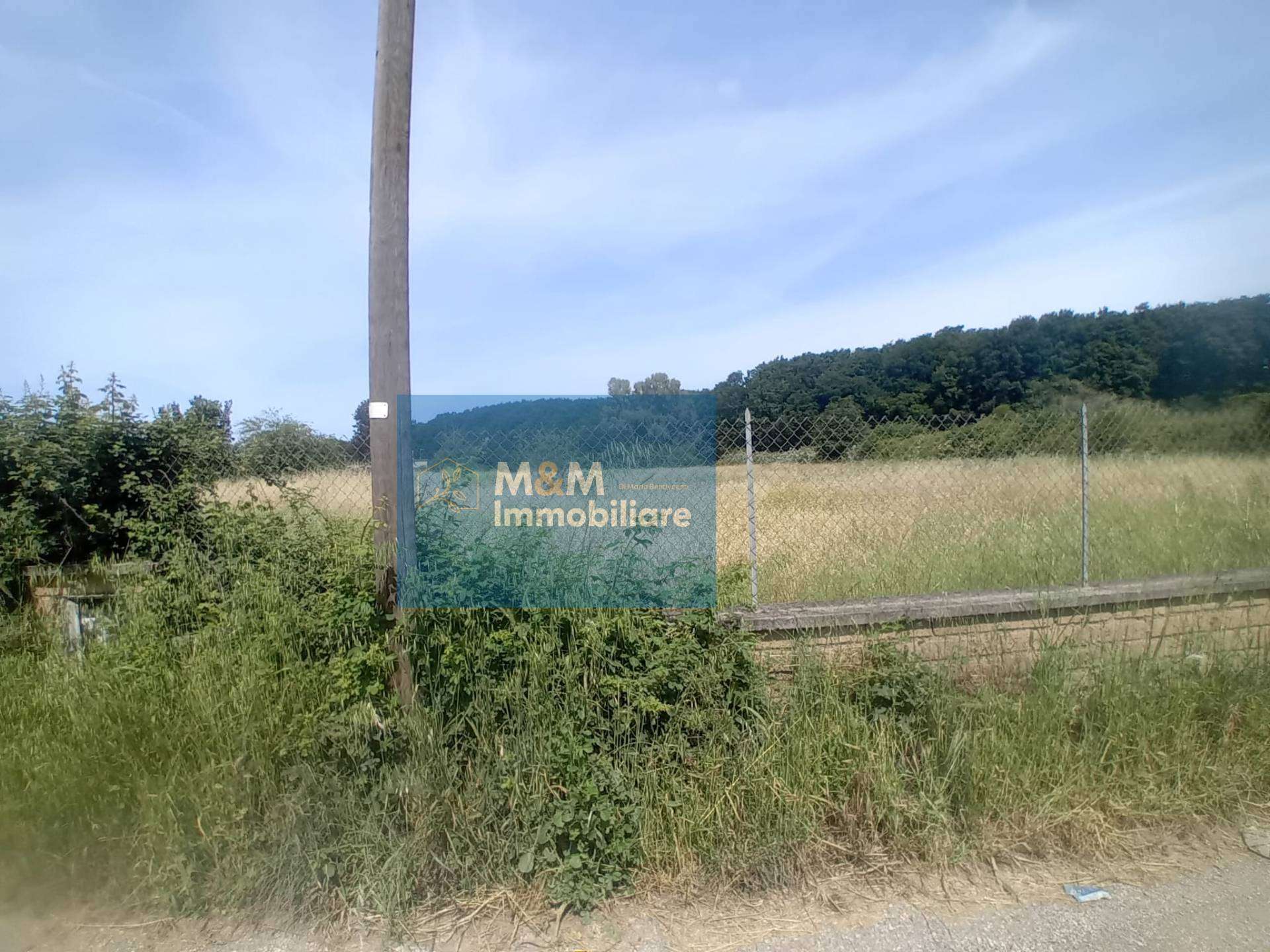  - foto 13