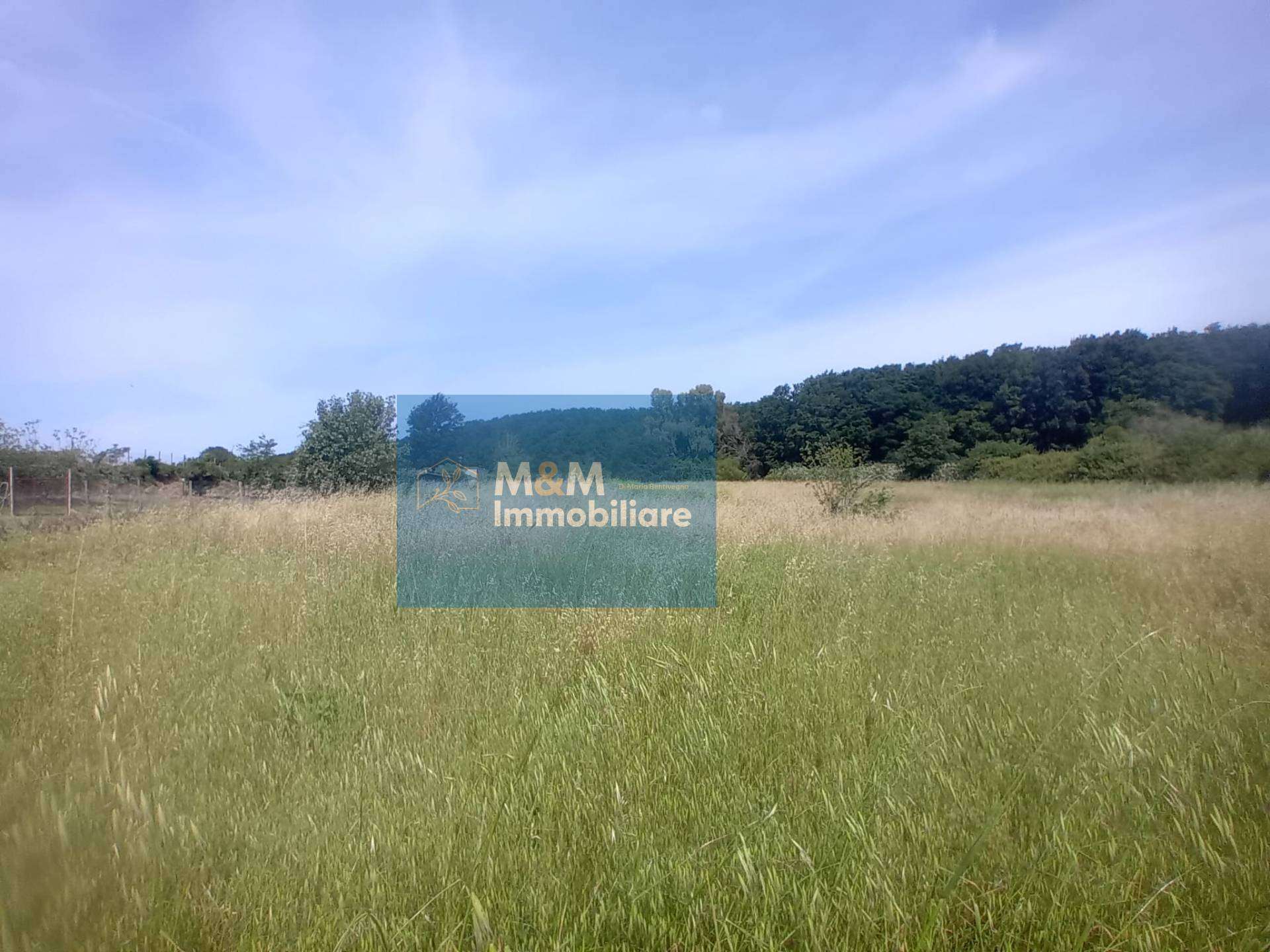  - foto 17