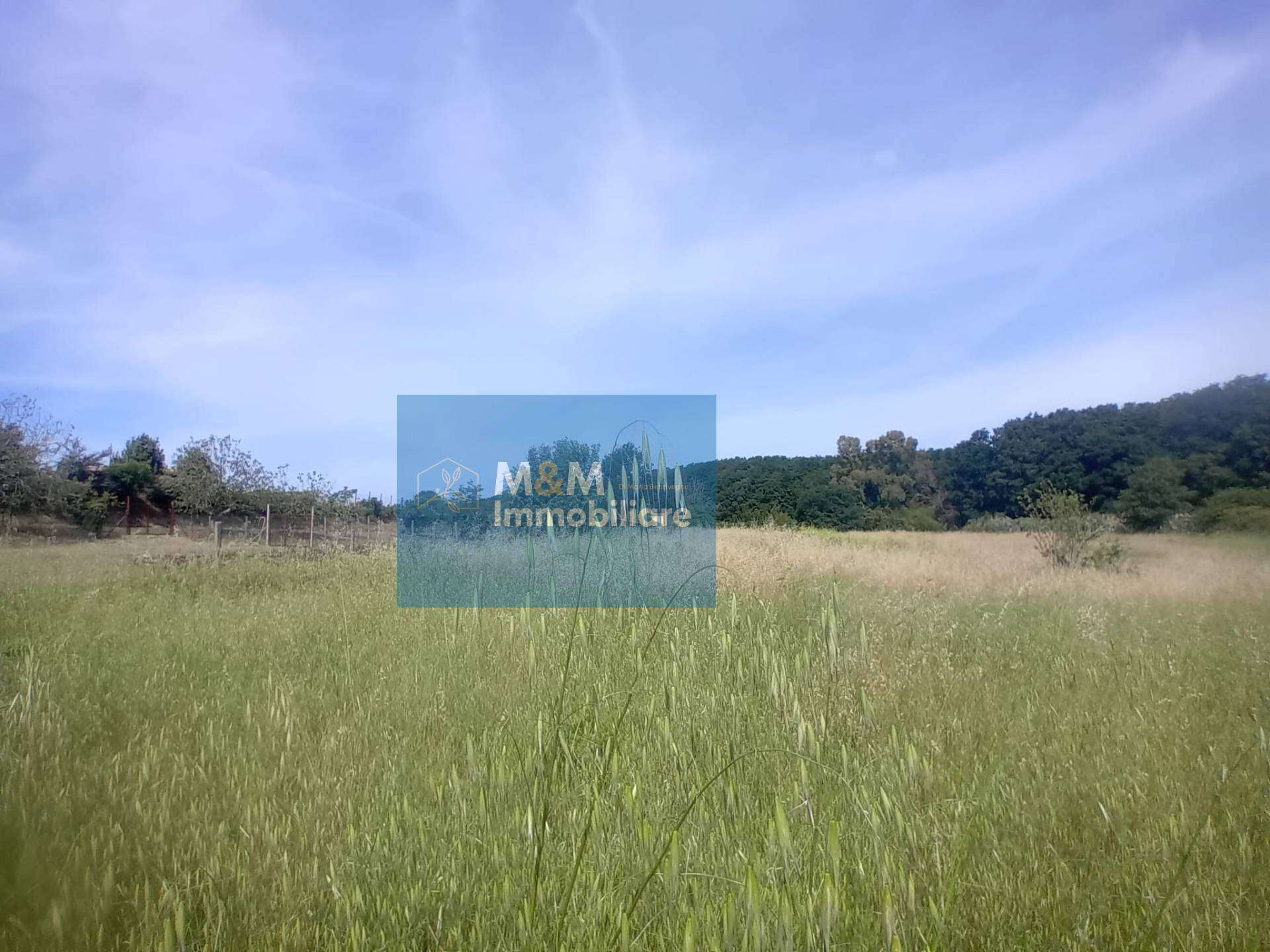  - foto 20