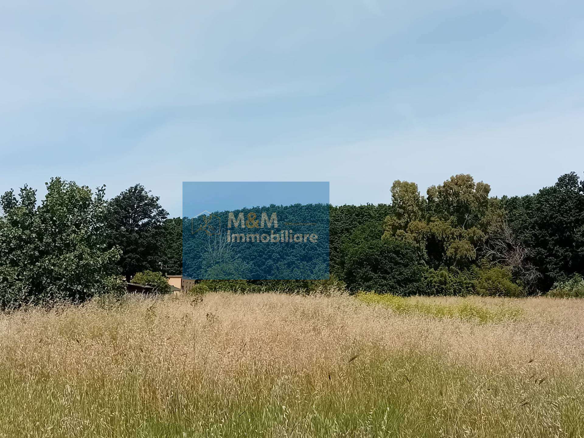  - foto 8