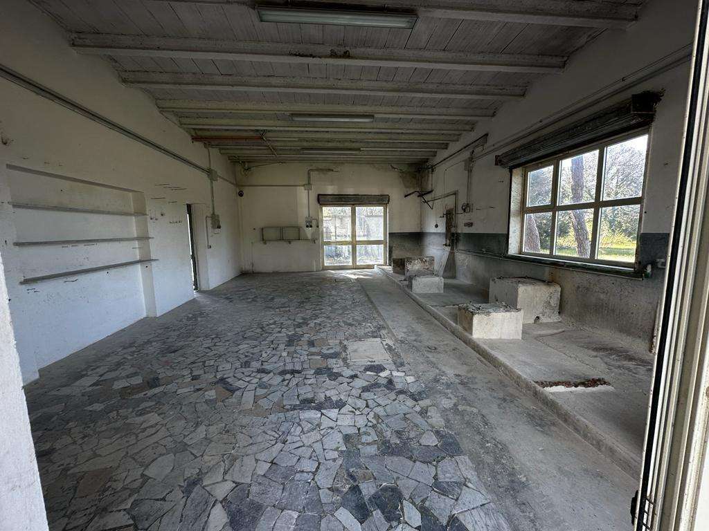  - foto 9