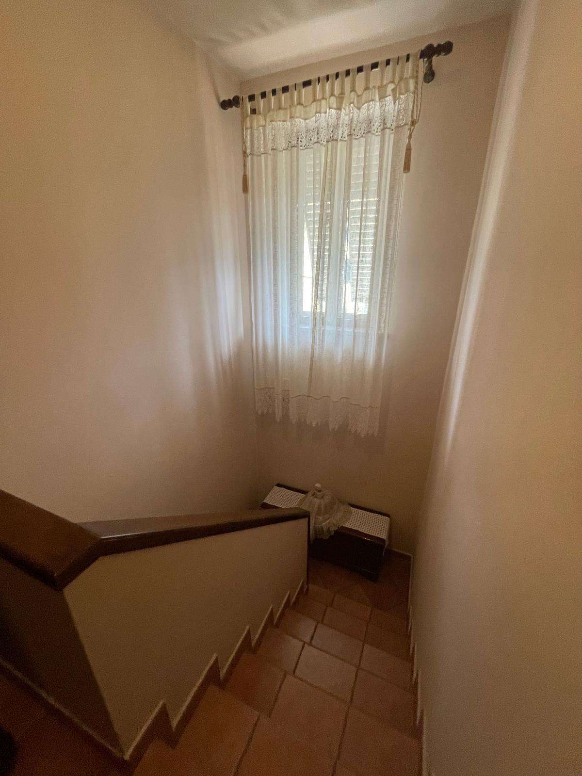  - foto 24