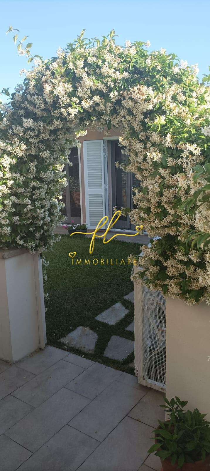  - foto 12