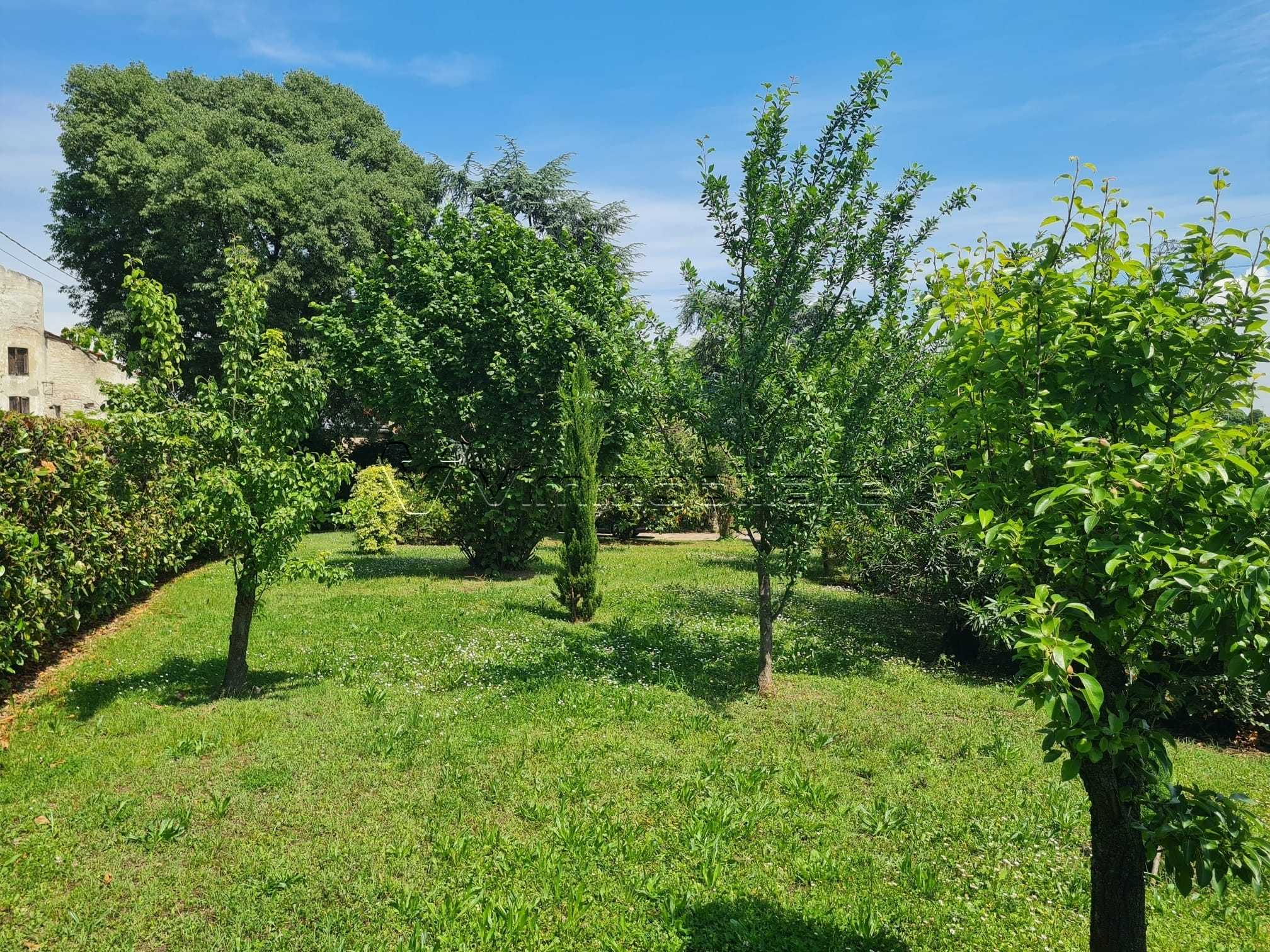  - foto 35