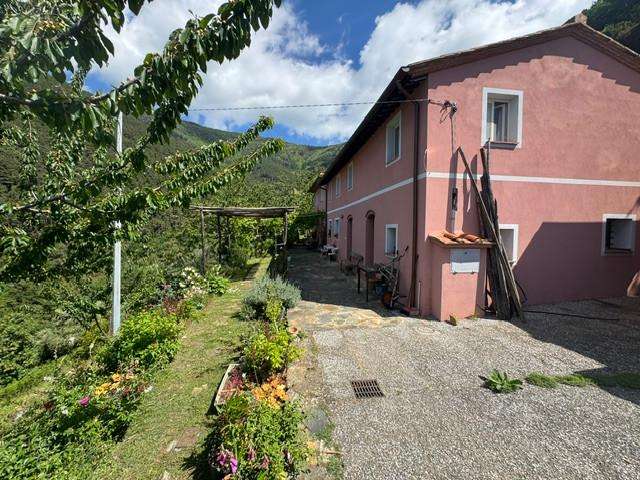 Casale Calci, Calci