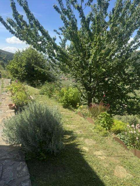 - foto 12