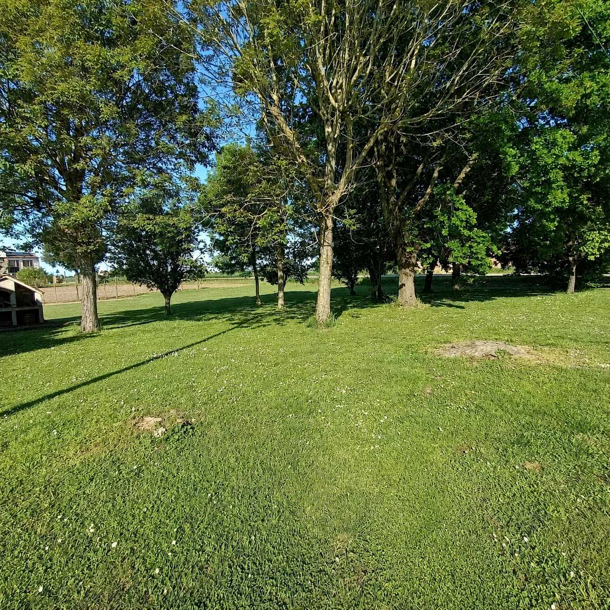  - foto 8