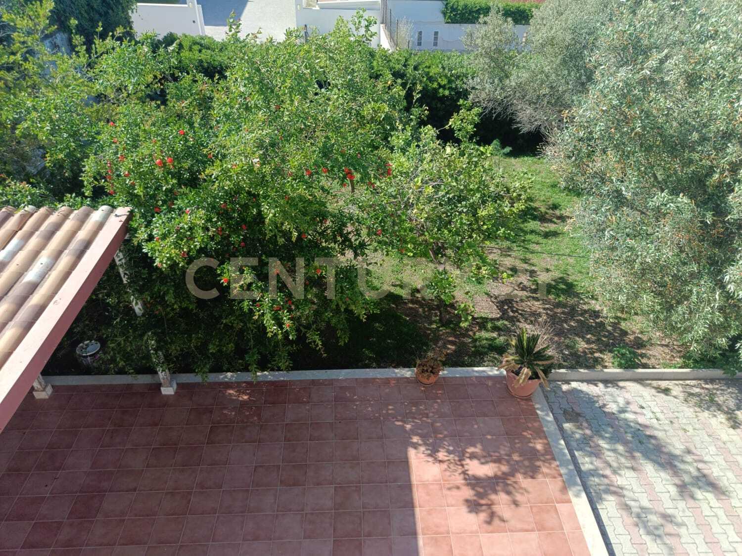  - foto 24