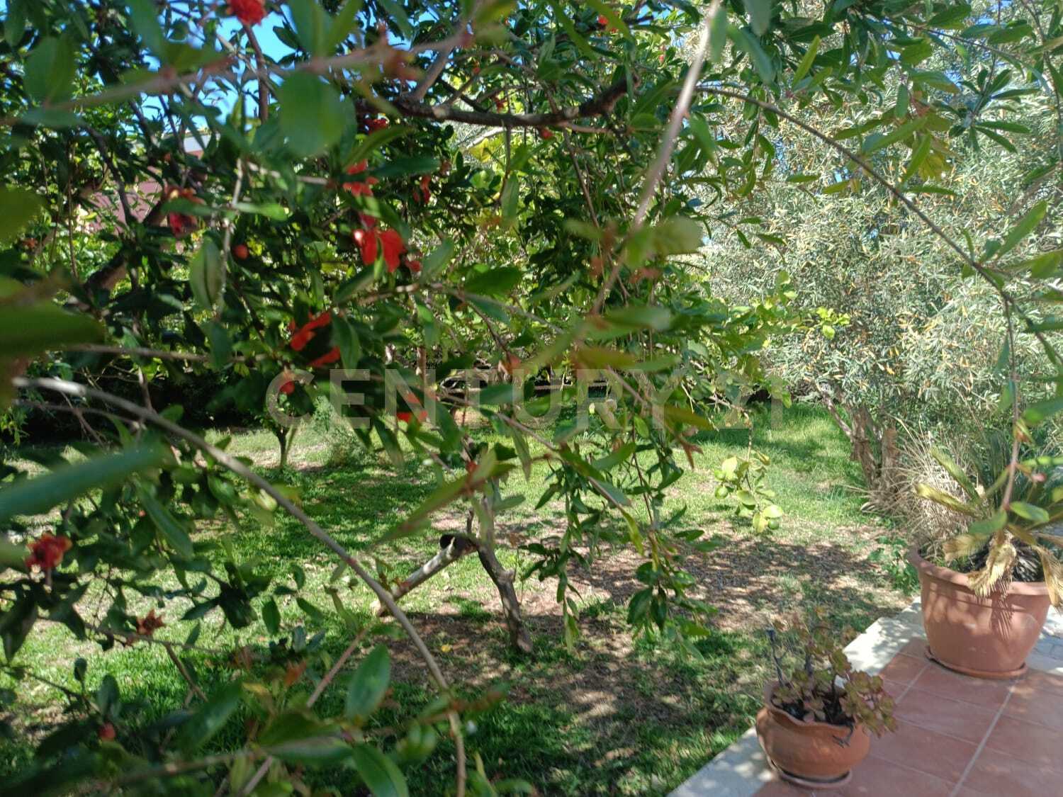  - foto 26