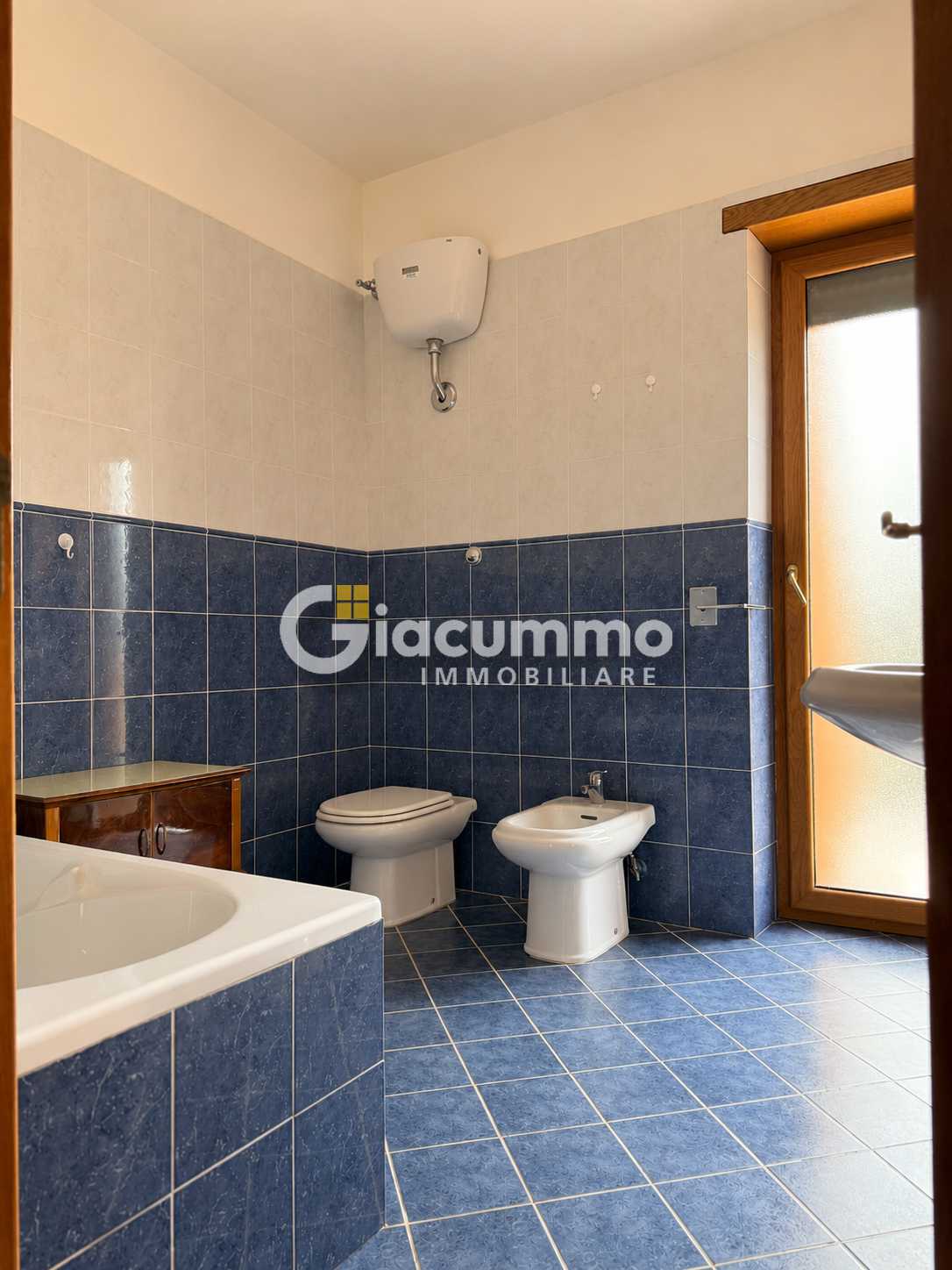  - foto 25
