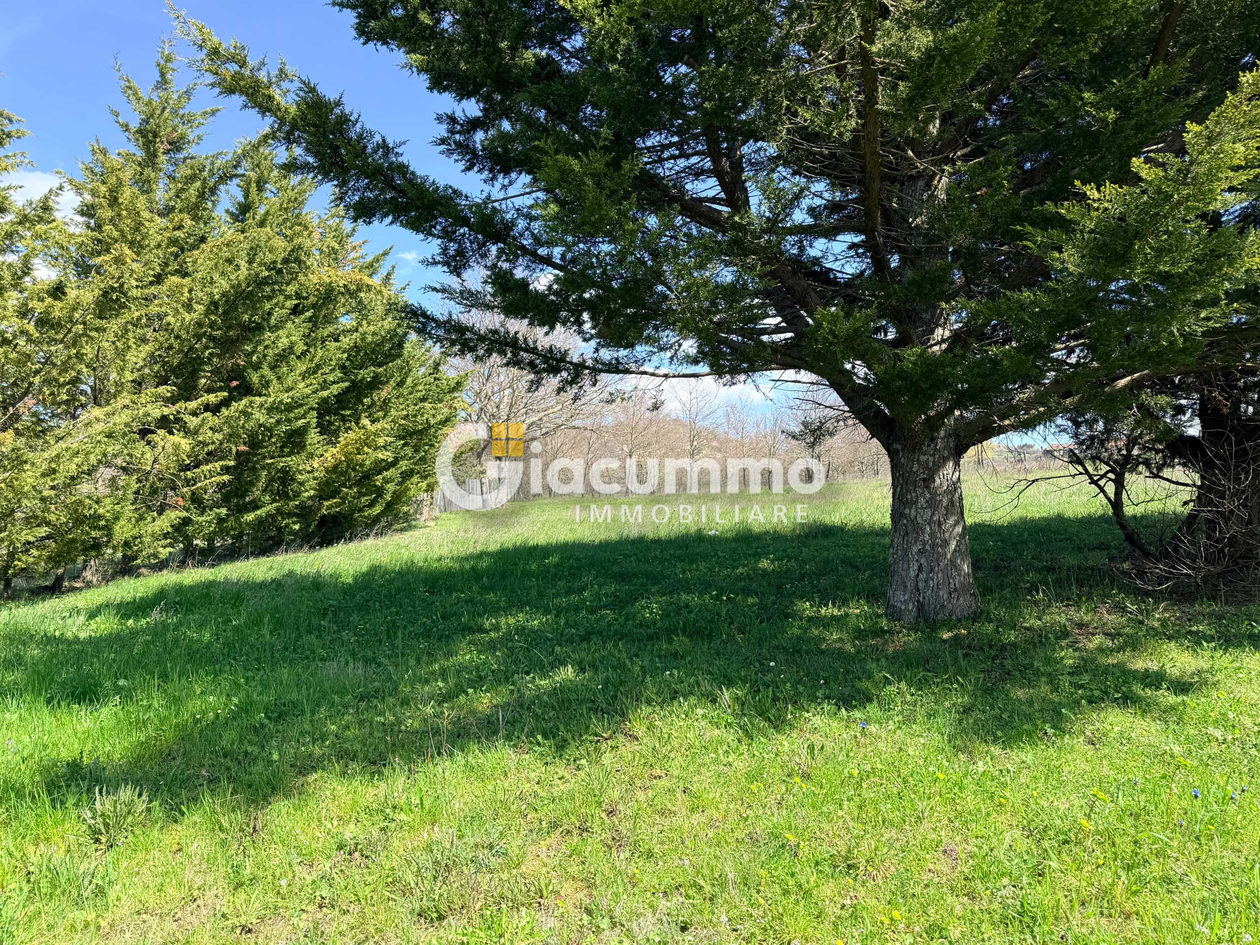  - foto 32