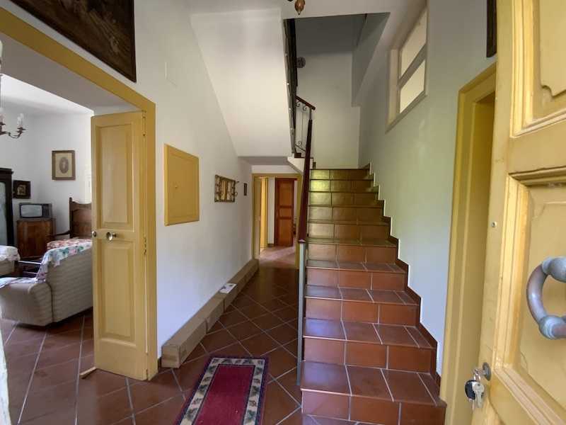  - foto 11