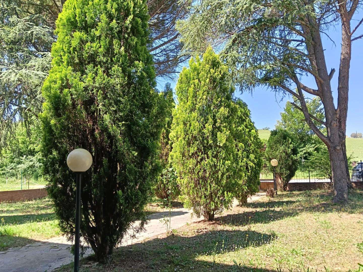  - foto 50