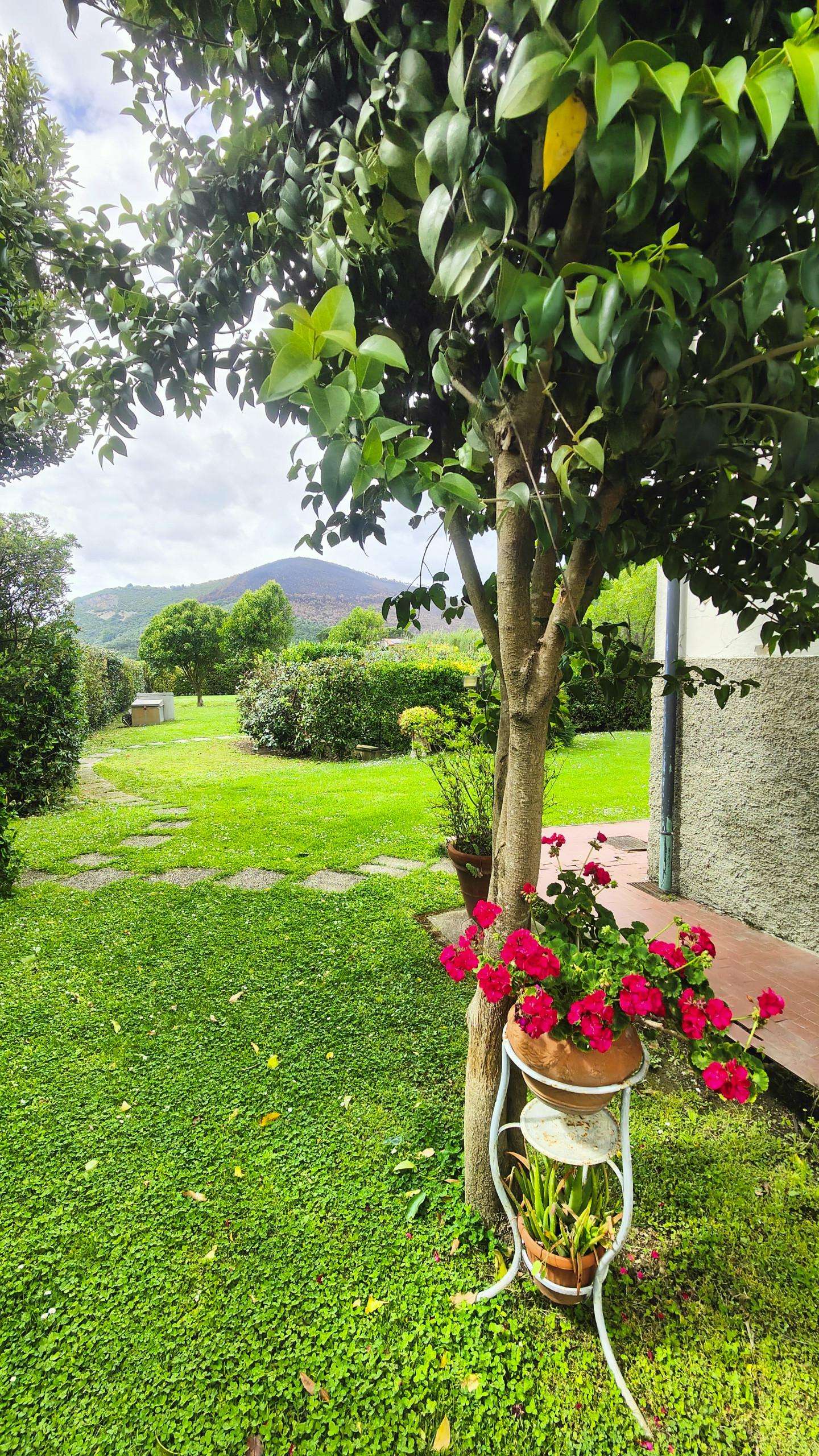  - foto 8