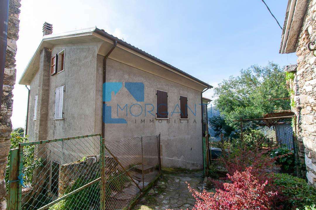  - foto 2