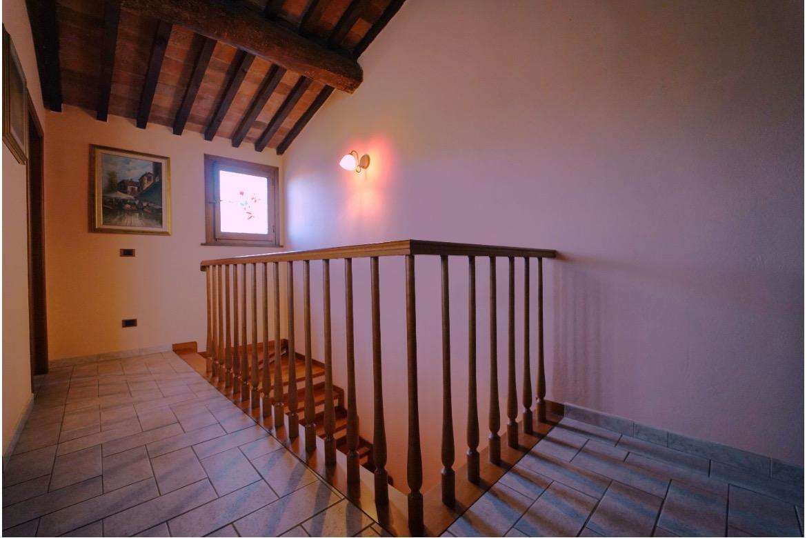  - foto 37