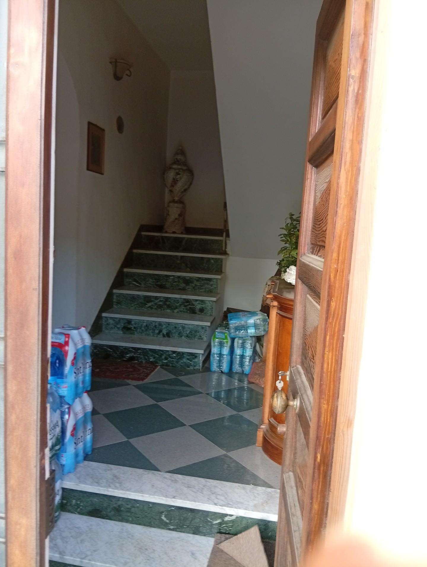  - foto 13