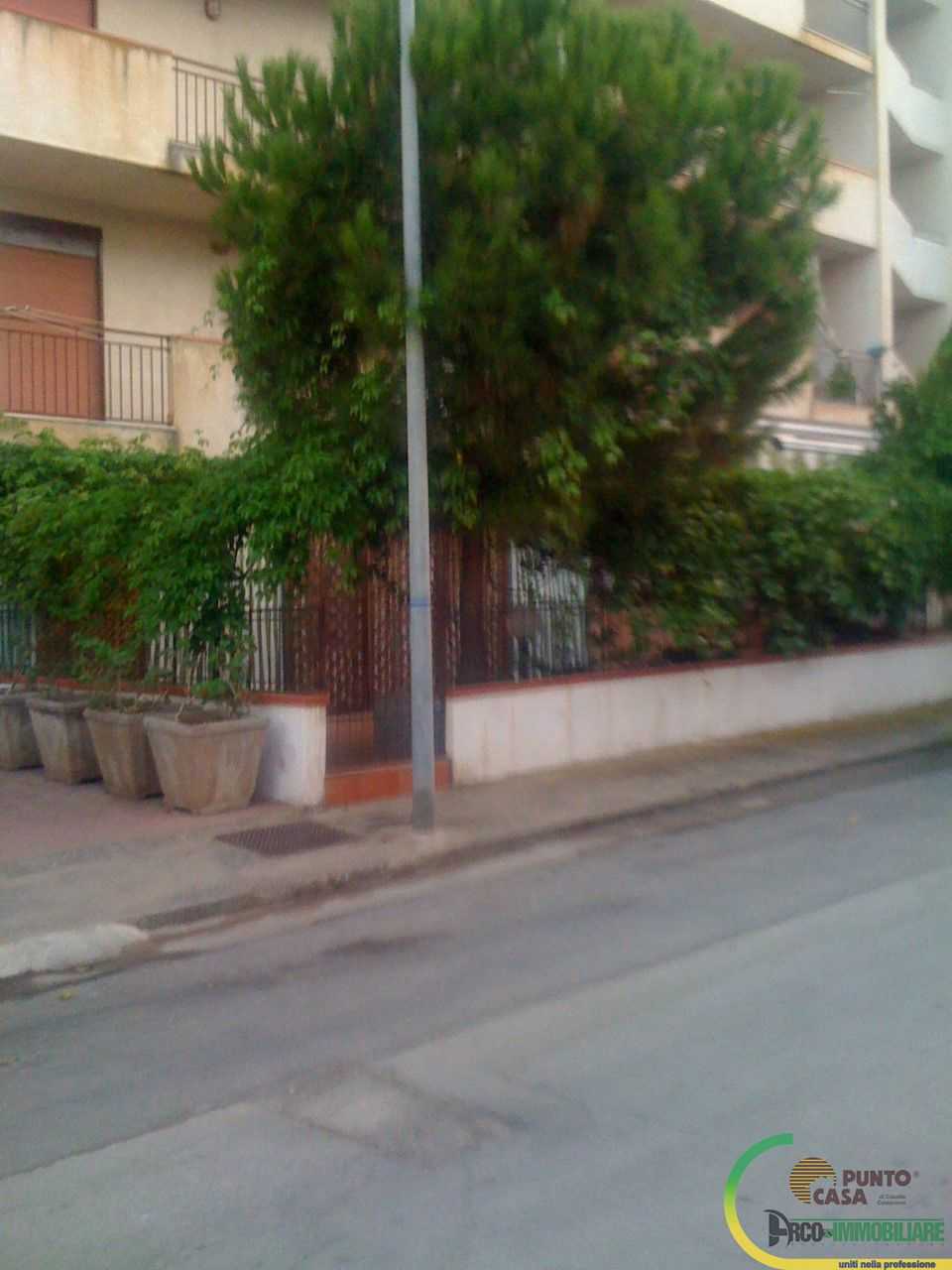  - foto 9