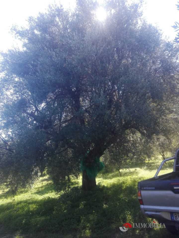  - foto 3