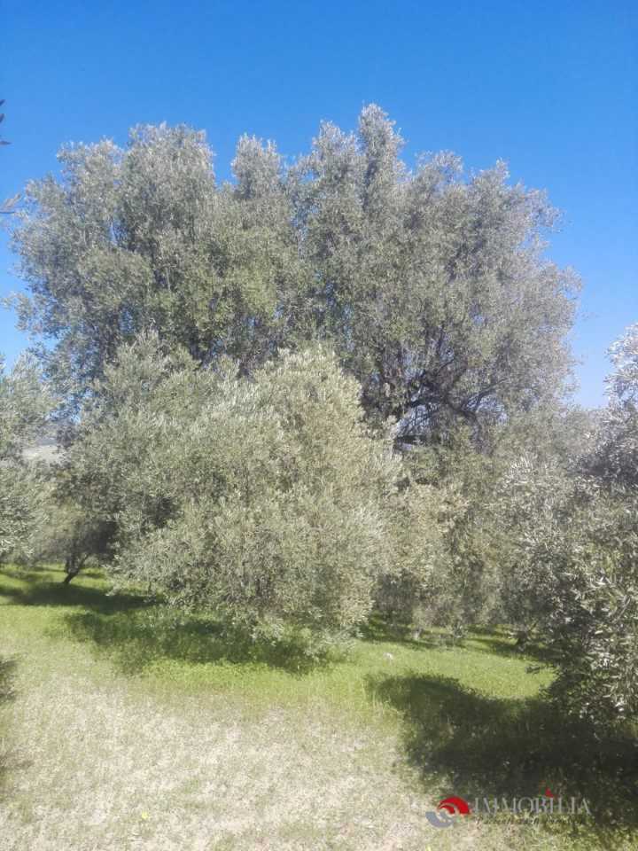 - foto 5