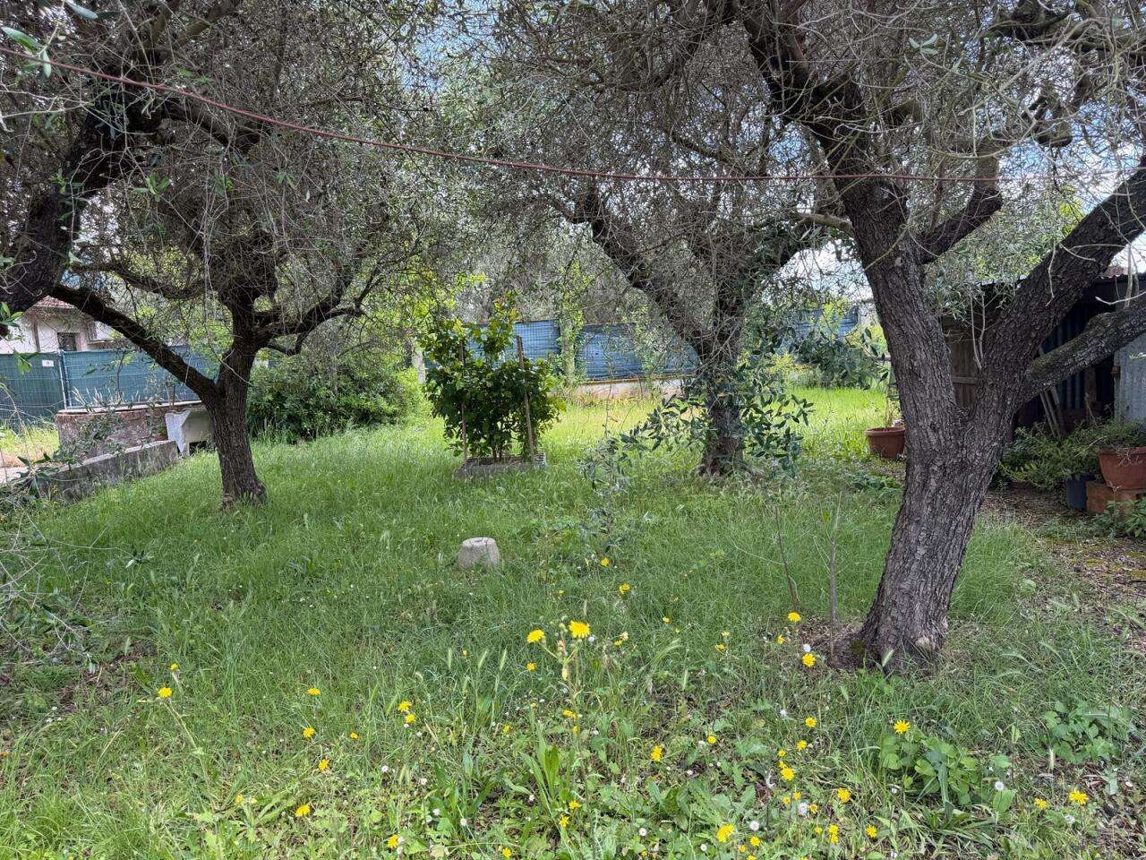  - foto 12