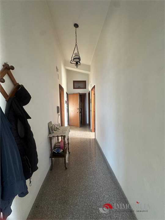  - foto 9